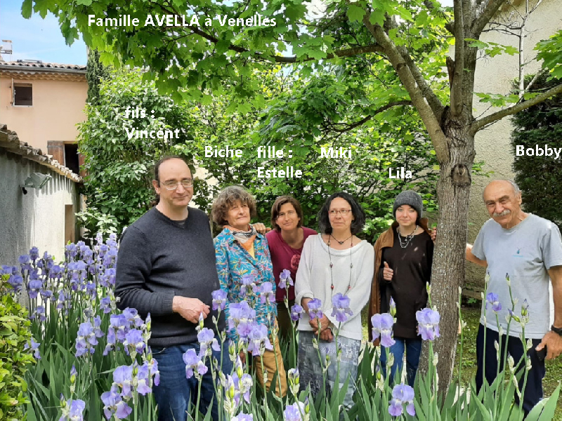   ZOOM : Robert Avella   